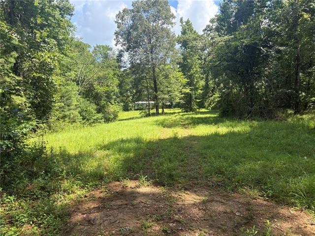 34 Aycock Road Deville, LA 71328 - Photo 10 of 13