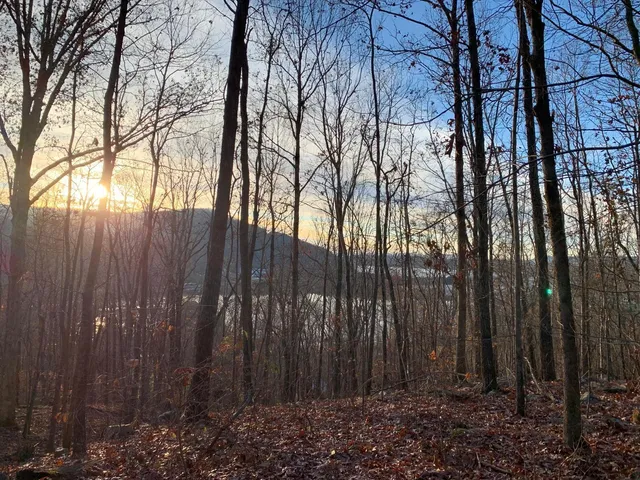 $150,000 | 0 Highway 134, Guild, TN 37340