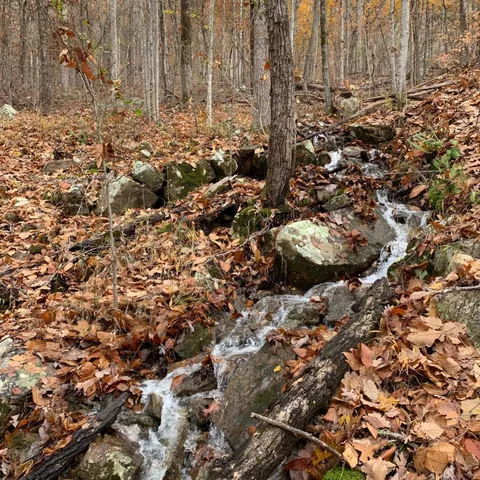 $150,000 | 0 Highway 134, Guild, TN 37340