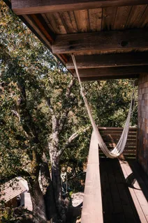 a view of outdoor space with deck and tree