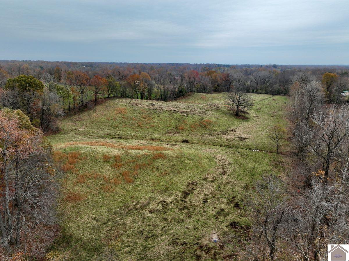 0 Beech Grove Road Hickman, KY 42050 - Photo 17 of 35 Photo 17