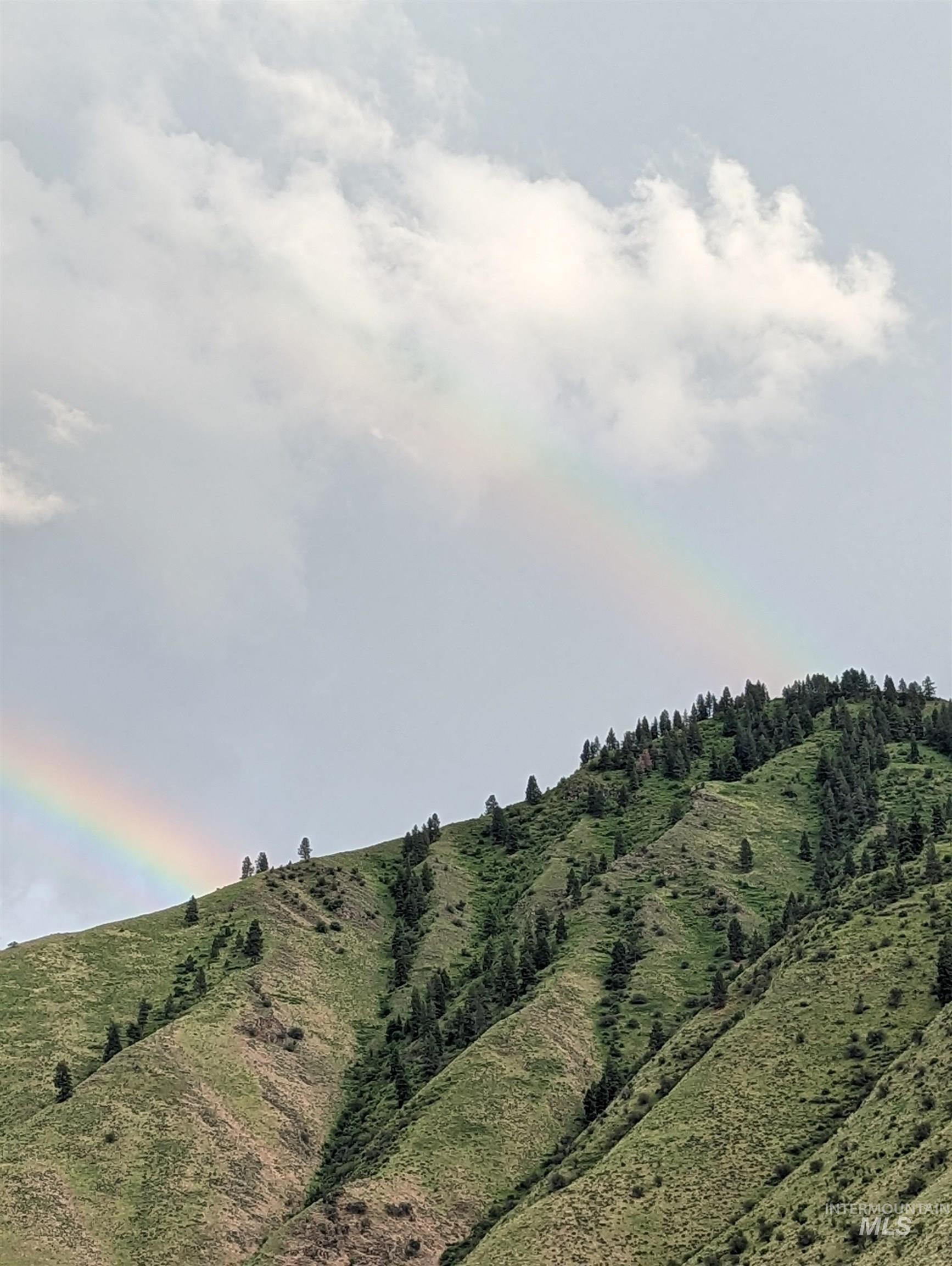 The Confluence The Confluence Salmon River Road Riggins, ID 83549 - Photo 13 of 16
