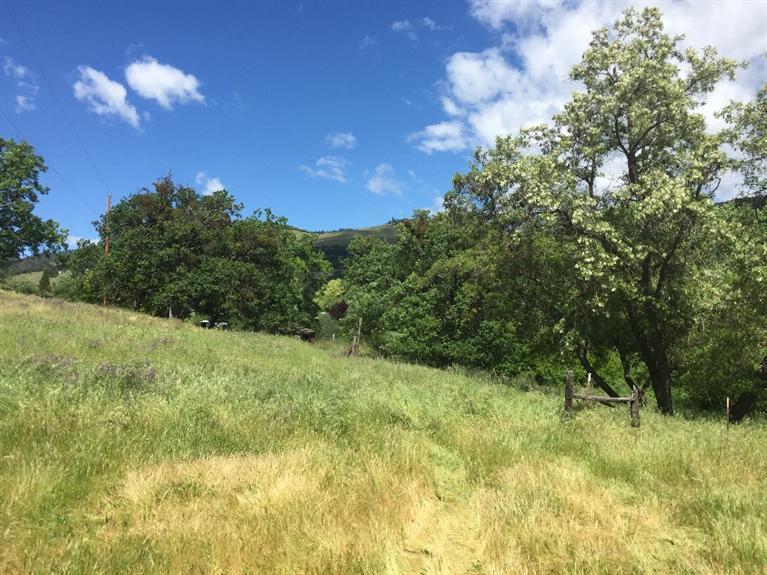 2784 North Valley View Road Ashland, OR 97520 - Photo 5 of 10 Additional Photo
