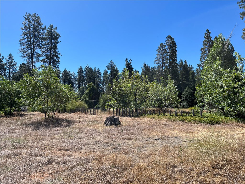 1387 Wagstaff Road Paradise, CA 95969 - Photo 2 of 4