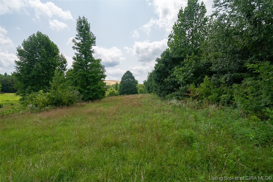 15004 Wilson Switch Road Borden, IN 47106 - Photo 69 of 77 Gallery Image 69