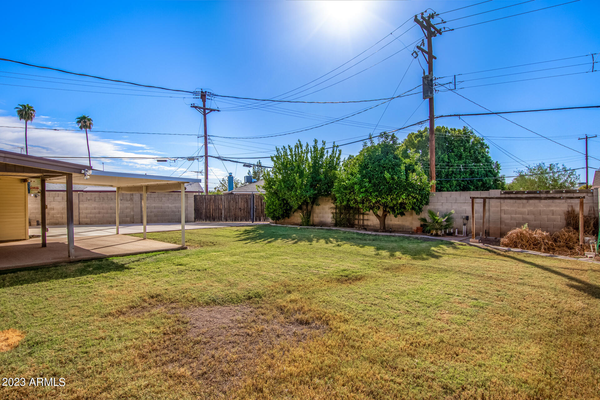 3002 South Terrace Road Tempe, AZ 85282 - Photo 4 of 32 36-Terrace