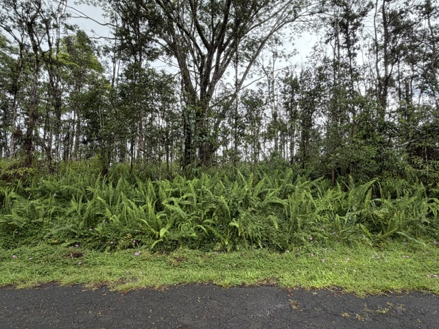 357 Puna Road Pahoa, HI 96778 - Photo 1 of 10