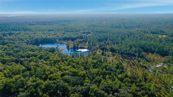an aerial view of residential house with outdoor space and trees around