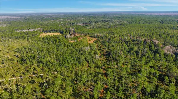 a view of a city with lush green forest