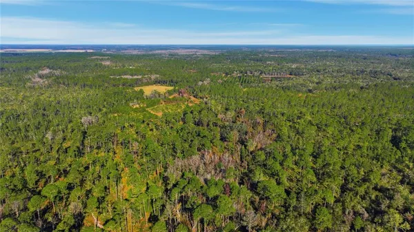 a view of a city with lush green forest
