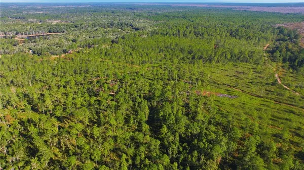 a view of a green field with lots of bushes