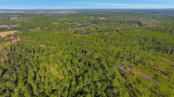 a view of a city with lush green forest