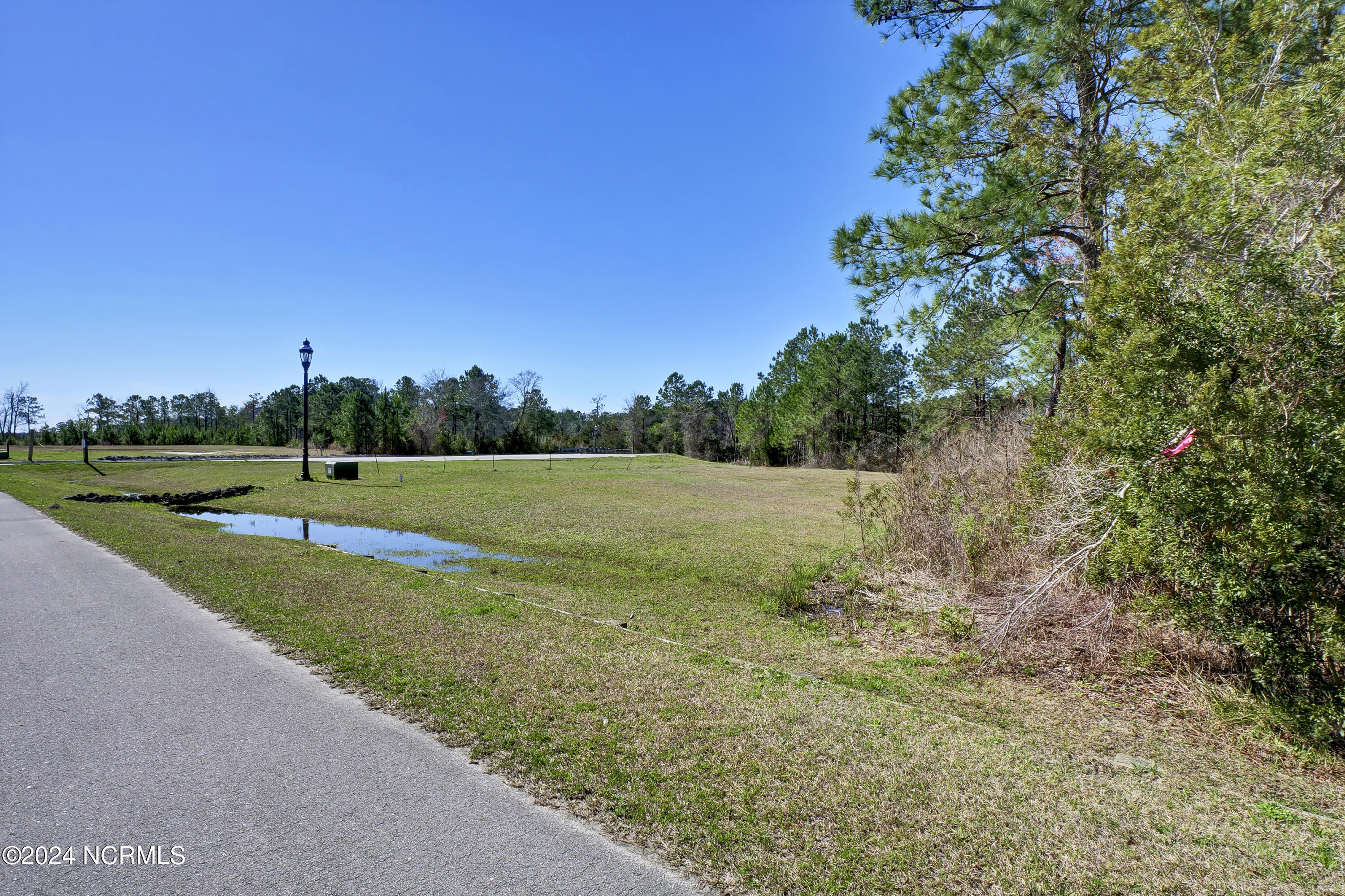 246 Kings Creek Crossing Holly Ridge, NC 28445 - Photo 12 of 27 P6311809