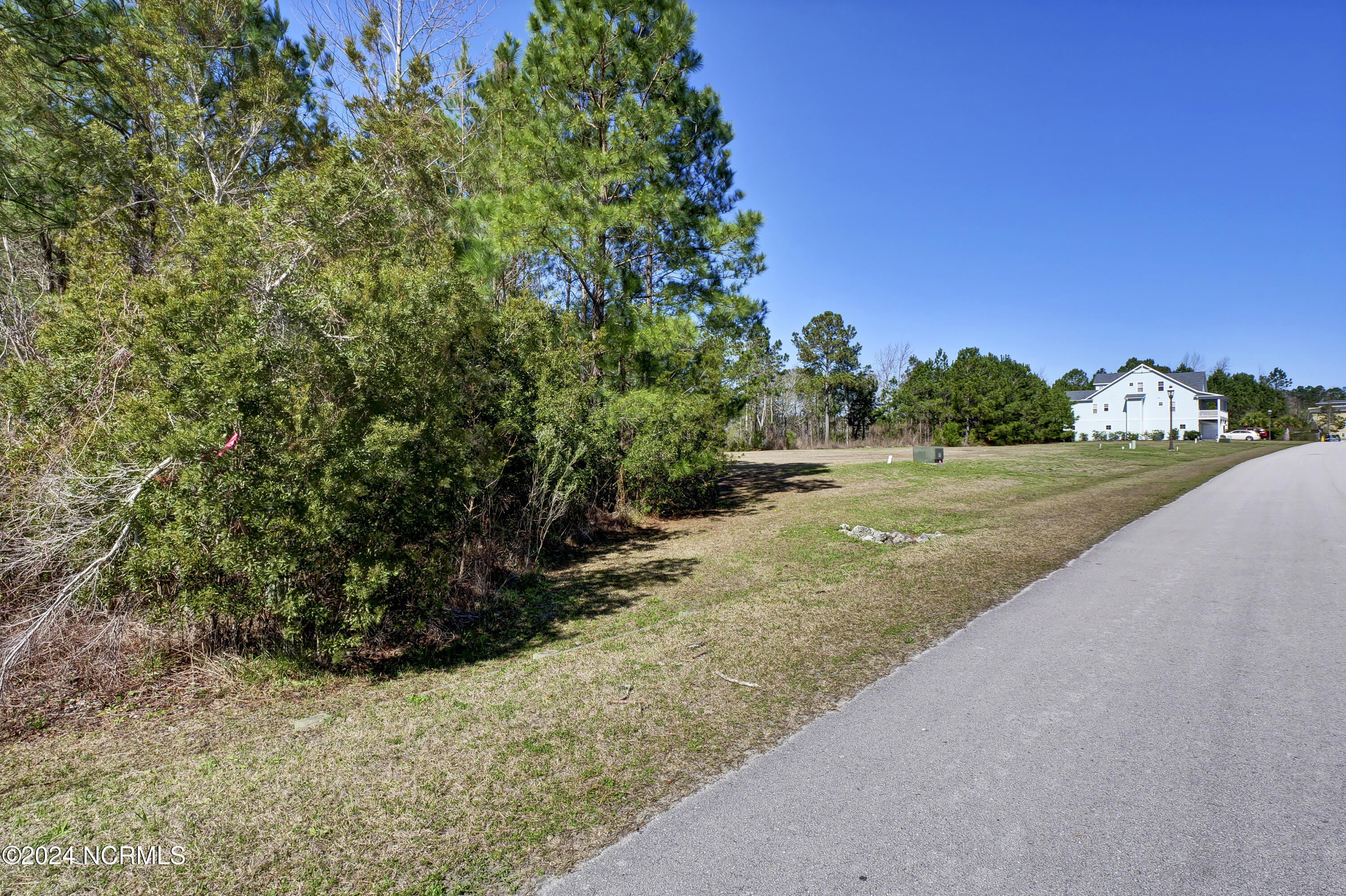 246 Kings Creek Crossing Holly Ridge, NC 28445 - Photo 13 of 27 P6311804