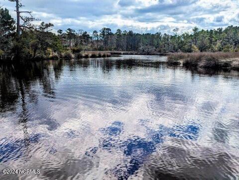 246 Kings Creek Crossing Holly Ridge, NC 28445 - Photo 21 of 27 image0000 (3)