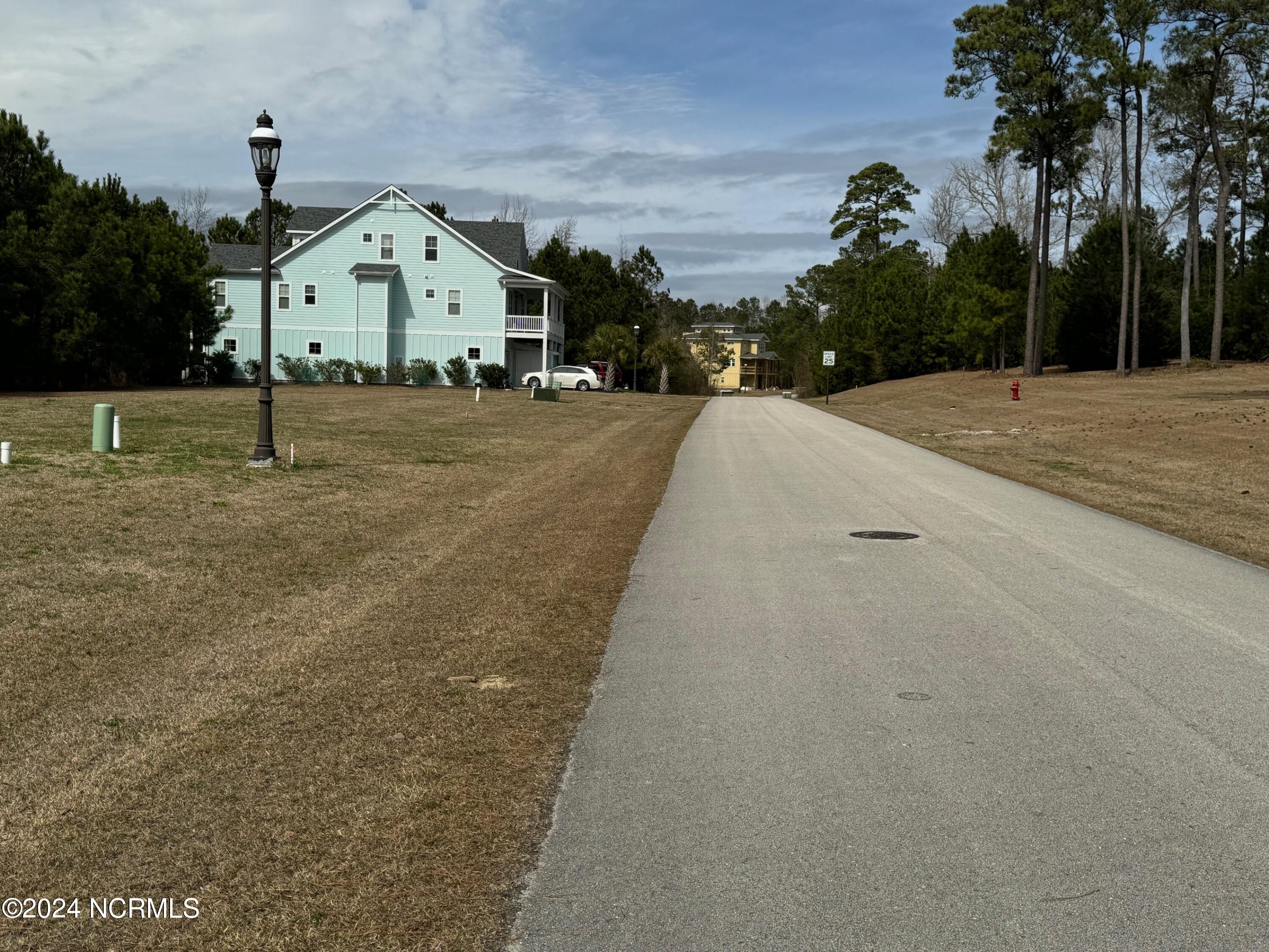 246 Kings Creek Crossing Holly Ridge, NC 28445 - Photo 26 of 27 photo 2