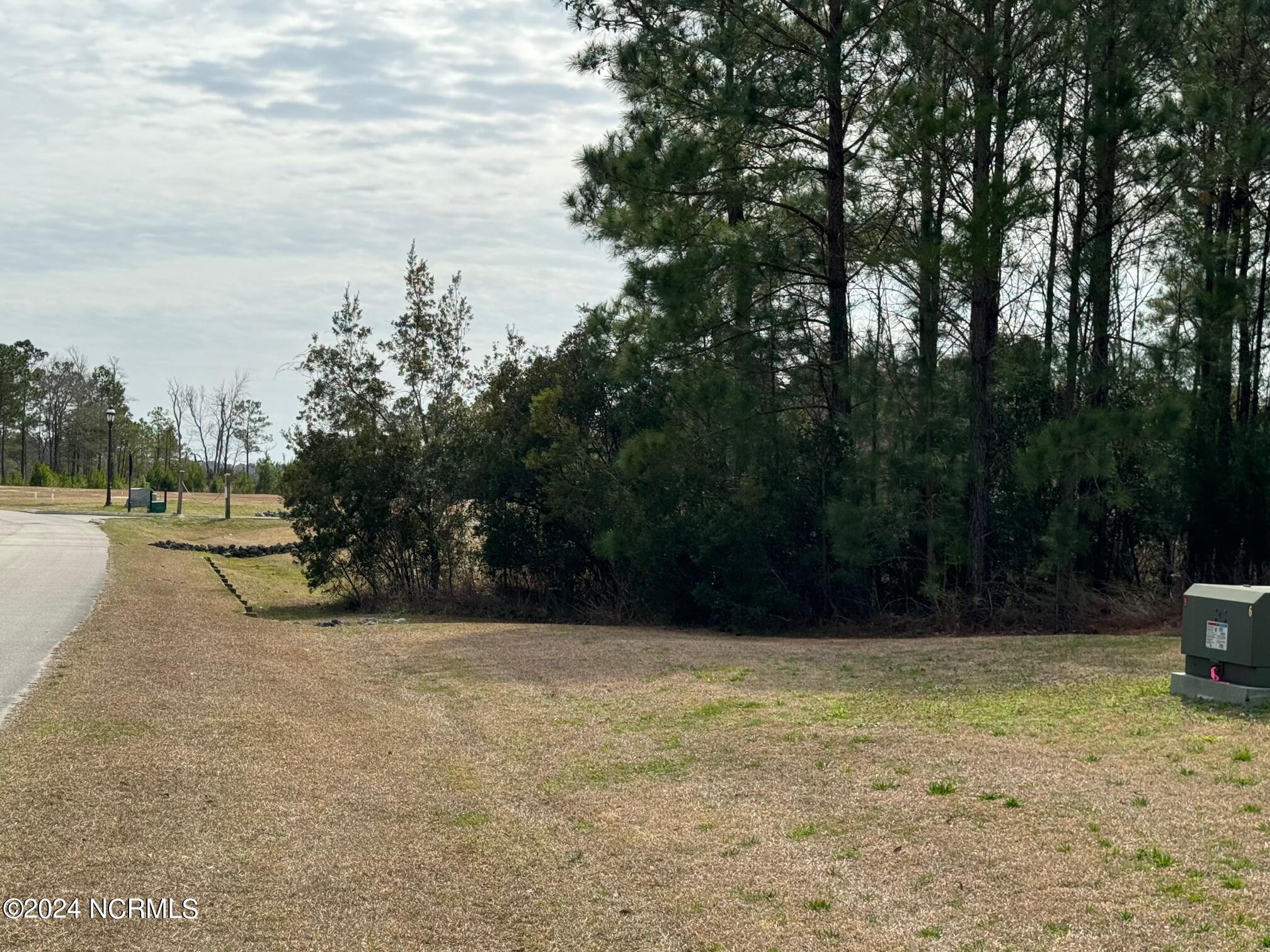 246 Kings Creek Crossing Holly Ridge, NC 28445 - Photo 27 of 27 photo 1