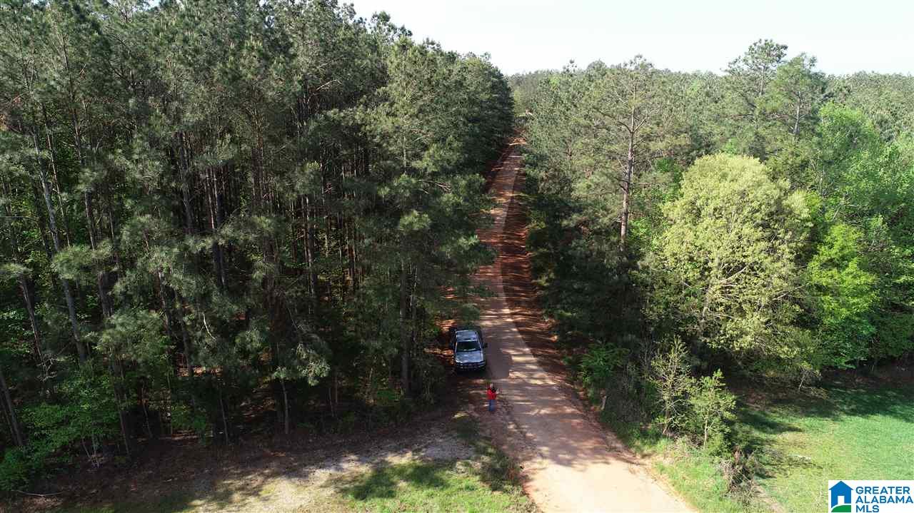 55 County Road, Unit 10 Woodland, AL 36280 - Photo 3 of 4