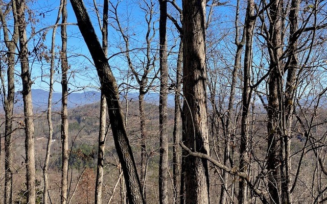 2 Sunrock Mountain Trace Blue Ridge, GA 30513 - Photo 3 of 11 Additional View