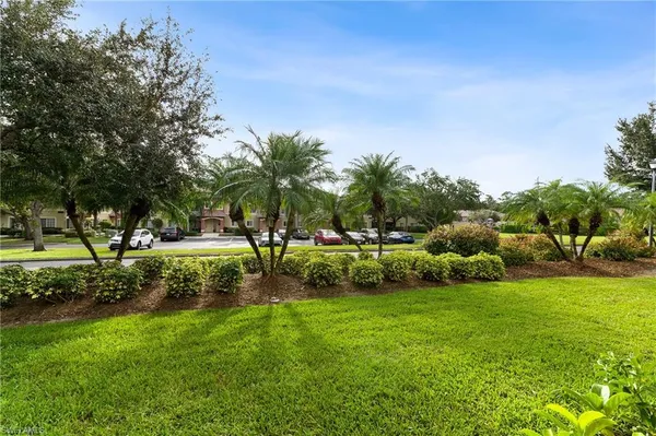 a view of a park with large trees