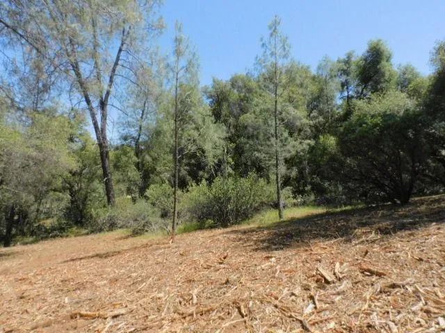 $85,000 | 10 Dream Ranch Circle, Placerville, CA 95667