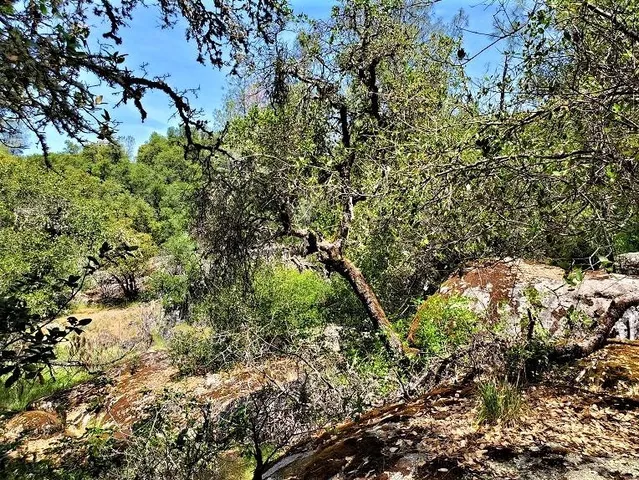 $85,000 | 10 Dream Ranch Circle, Placerville, CA 95667