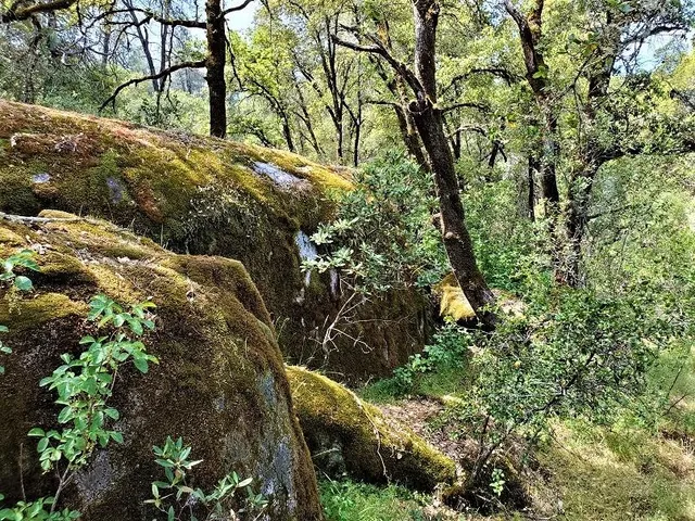 $85,000 | 10 Dream Ranch Circle, Placerville, CA 95667