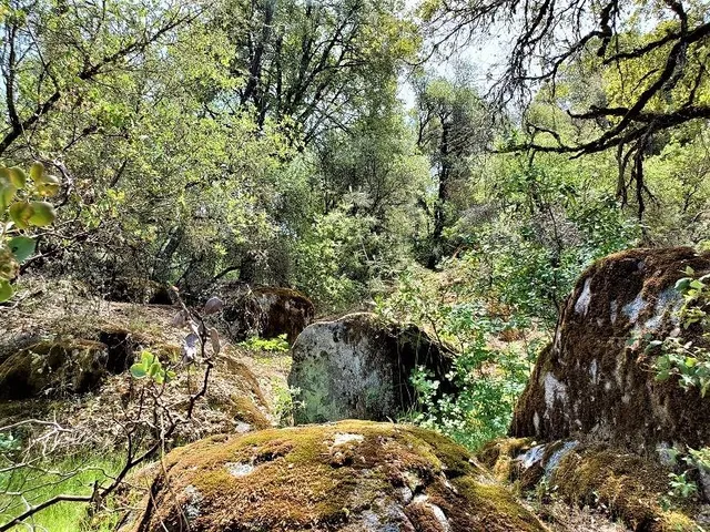 $85,000 | 10 Dream Ranch Circle, Placerville, CA 95667