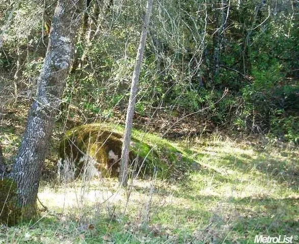 $85,000 | 10 Dream Ranch Circle, Placerville, CA 95667