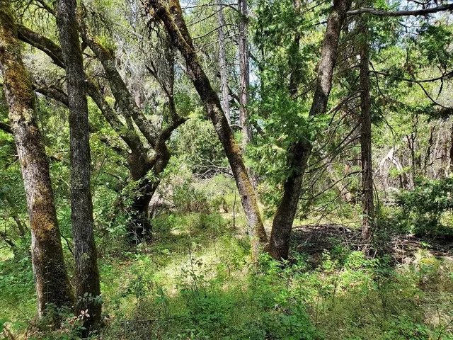 $85,000 | 10 Dream Ranch Circle, Placerville, CA 95667