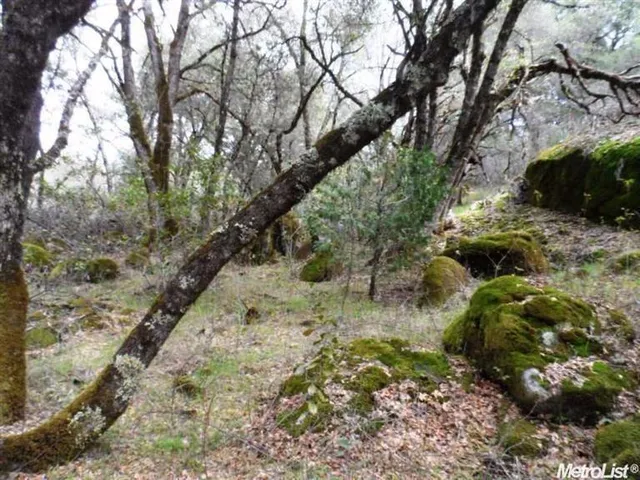 $85,000 | 10 Dream Ranch Circle, Placerville, CA 95667