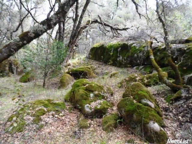 $85,000 | 10 Dream Ranch Circle, Placerville, CA 95667