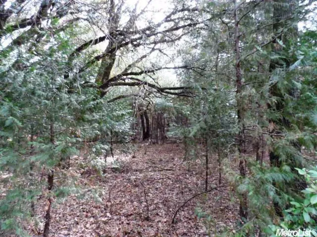 $85,000 | 10 Dream Ranch Circle, Placerville, CA 95667