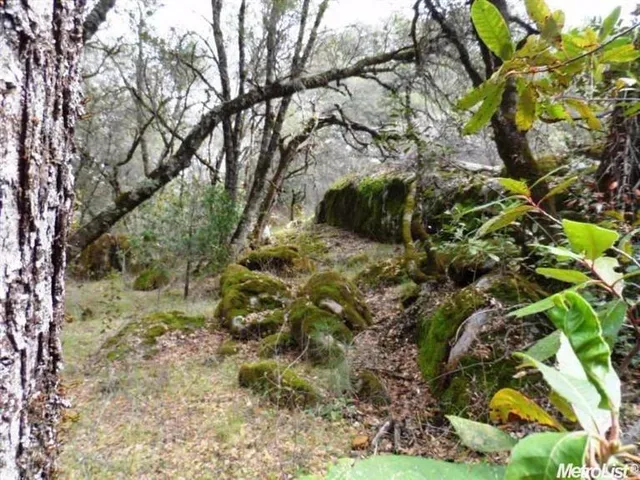 $85,000 | 10 Dream Ranch Circle, Placerville, CA 95667