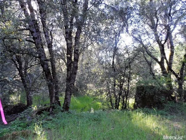 $85,000 | 10 Dream Ranch Circle, Placerville, CA 95667