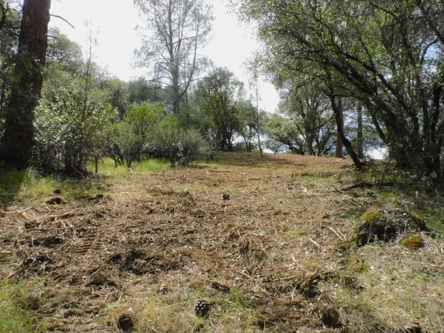 $85,000 | 10 Dream Ranch Circle, Placerville, CA 95667