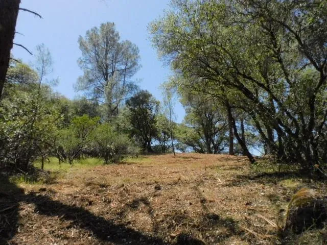 $85,000 | 10 Dream Ranch Circle, Placerville, CA 95667