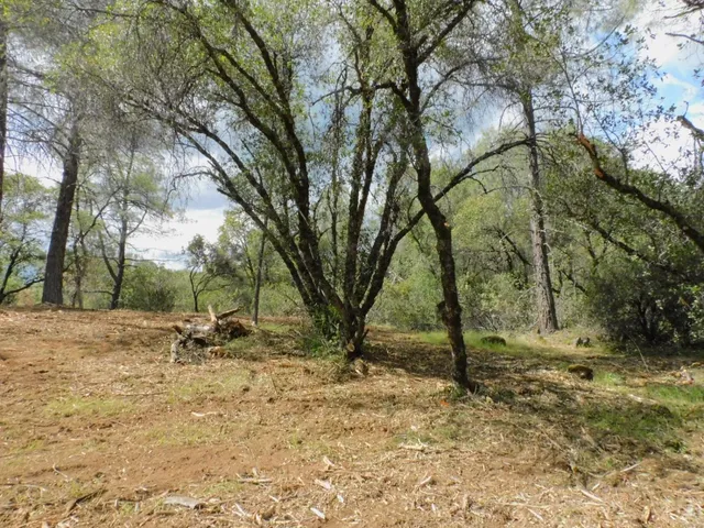 $85,000 | 10 Dream Ranch Circle, Placerville, CA 95667