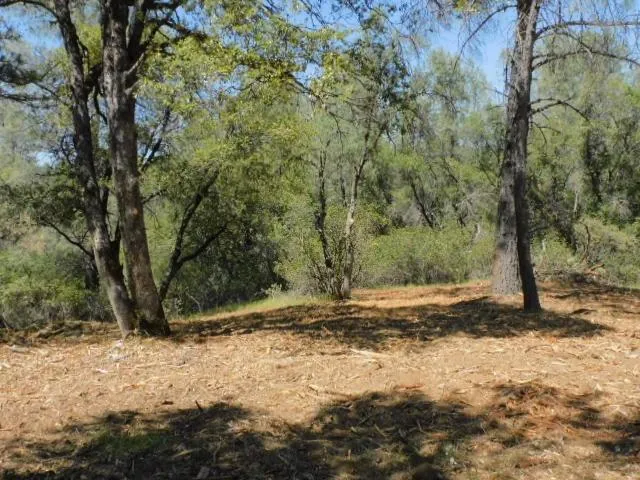 $85,000 | 10 Dream Ranch Circle, Placerville, CA 95667