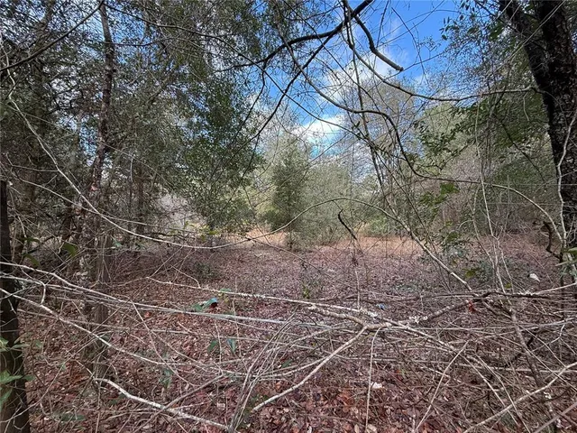 $49,000 | Tbd Northeast 194 Street, Citra, FL 32113