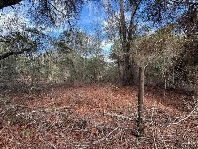 $49,000 | Tbd Northeast 194 Street, Citra, FL 32113