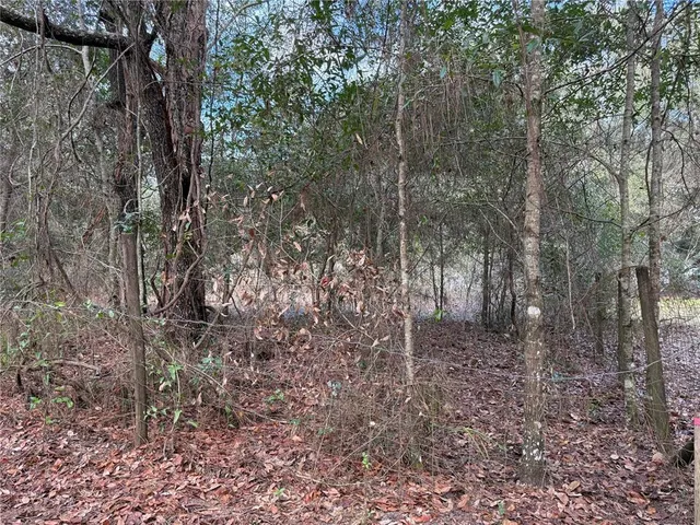 $49,000 | Tbd Northeast 194 Street, Citra, FL 32113