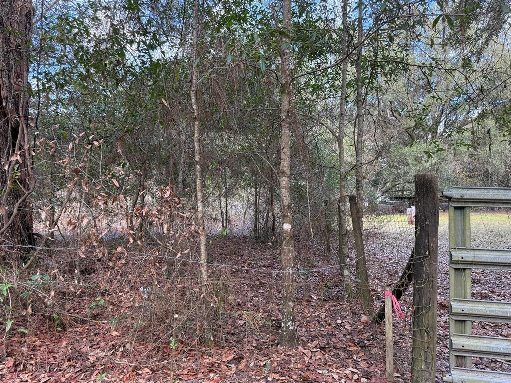 Tbd Northeast 194 Street Citra, FL 32113 - Photo 6 of 6