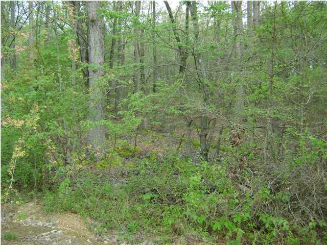 0 Southwest Old Lead Mine Valley Road Southwest Cleveland, TN 37311 - Photo 2 of 4 Additional Photo