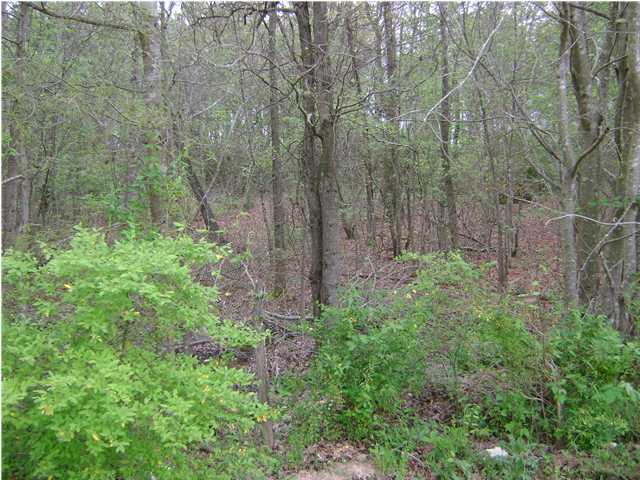0 Southwest Old Lead Mine Valley Road Southwest Cleveland, TN 37311 - Photo 3 of 4 Additional Photo