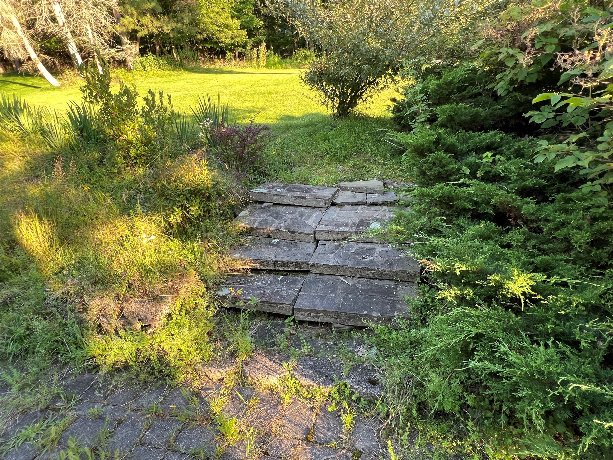 4804 Country Club Road Vestal, NY 13850 - Photo 46 of 50 Gallery Image 46