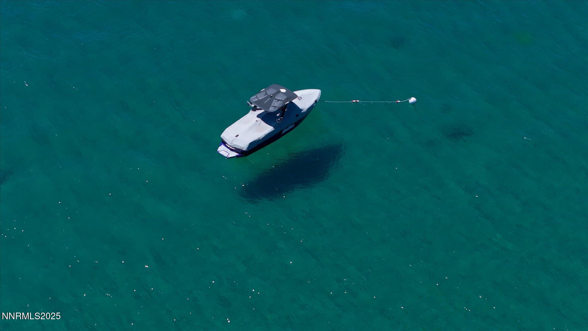 644 Job Lane Zephyr Cove, NV 89448 - Photo 3 of 26 a view of a small yard