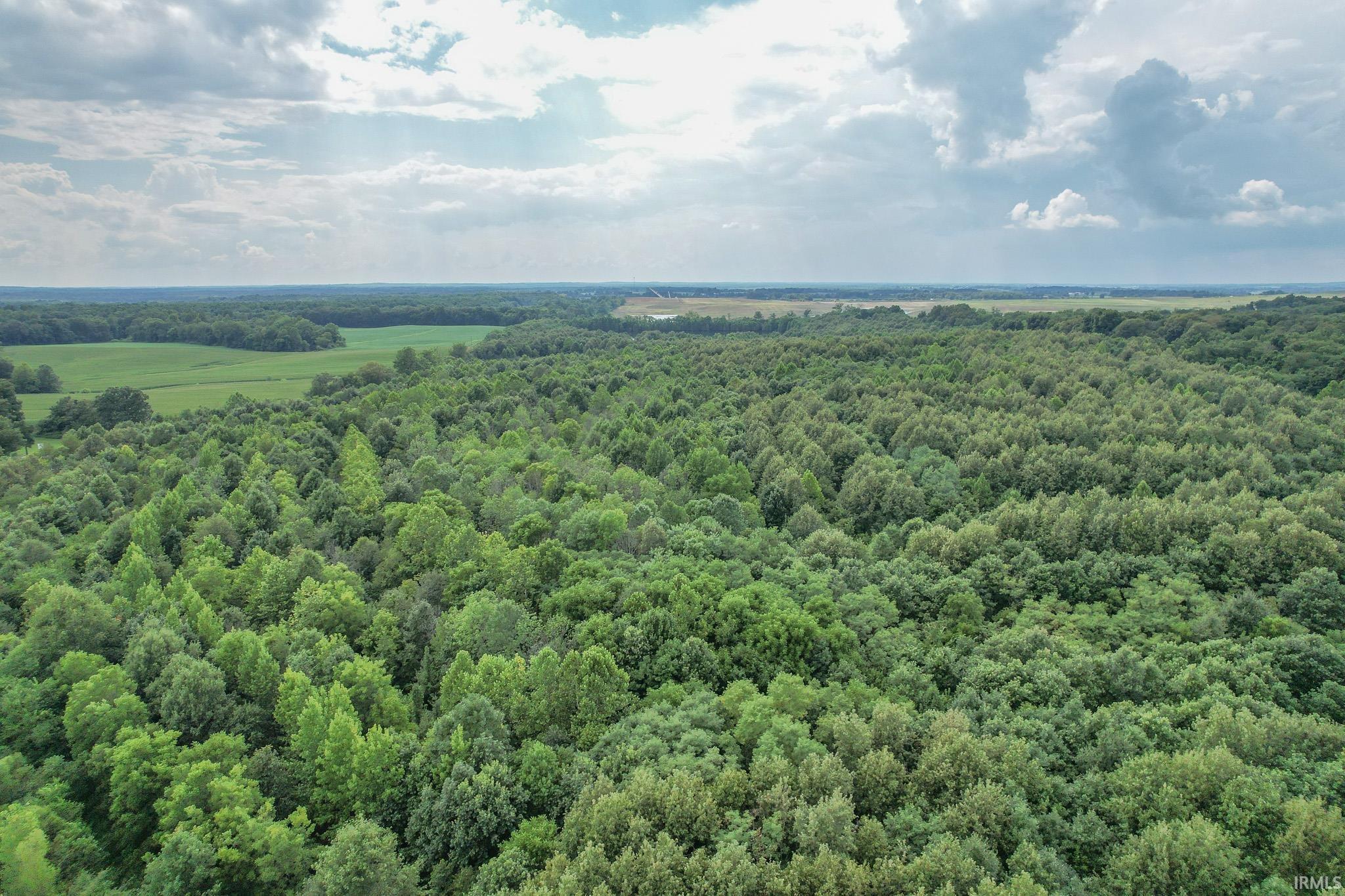 3584 Doerner Road Lynnville, IN 47619 - Photo 4 of 5