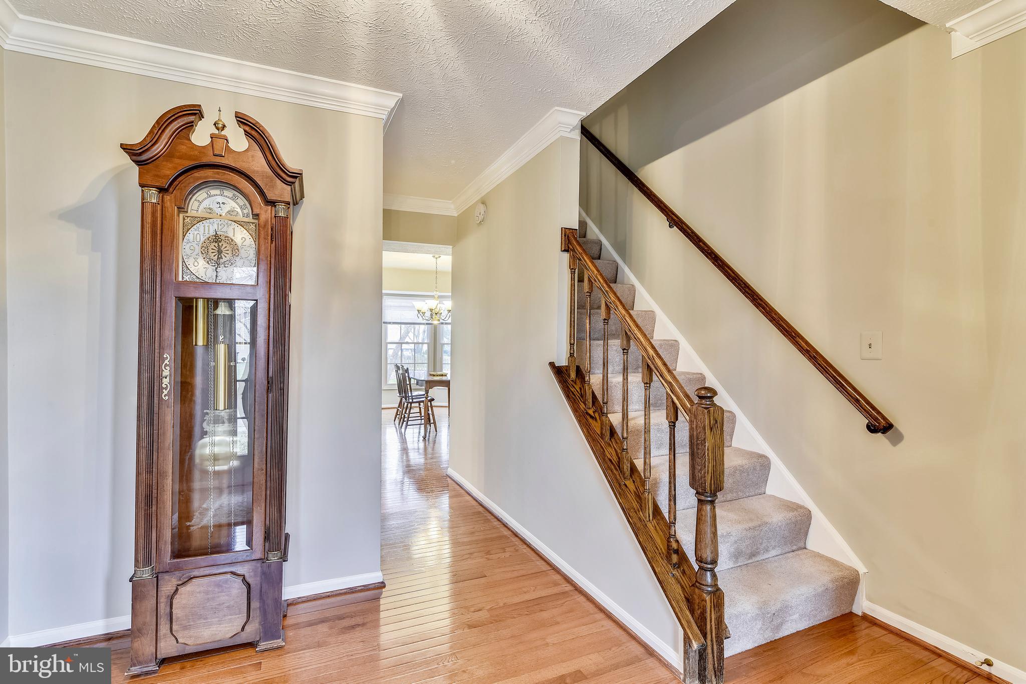 103 Rector Street Sterling, VA 20164 - Photo 2 of 25 Spacious and inviting foyer