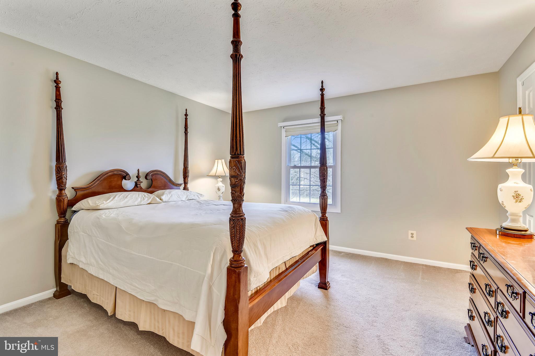 103 Rector Street Sterling, VA 20164 - Photo 15 of 25 Spacious Bedroom #2